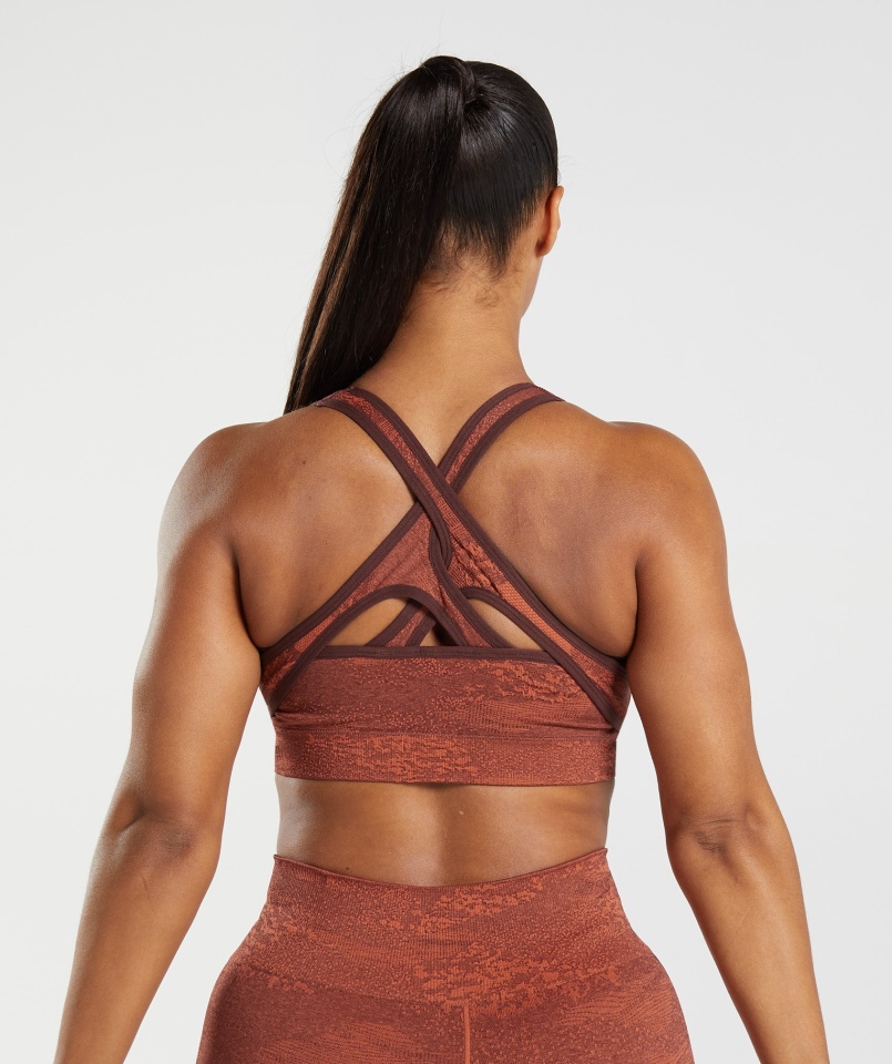 Gymshark Adapt Moro Bezszwowy Biustonosz Sportowy Lawa| Burza Czerwono-wiśniowo-brązowa