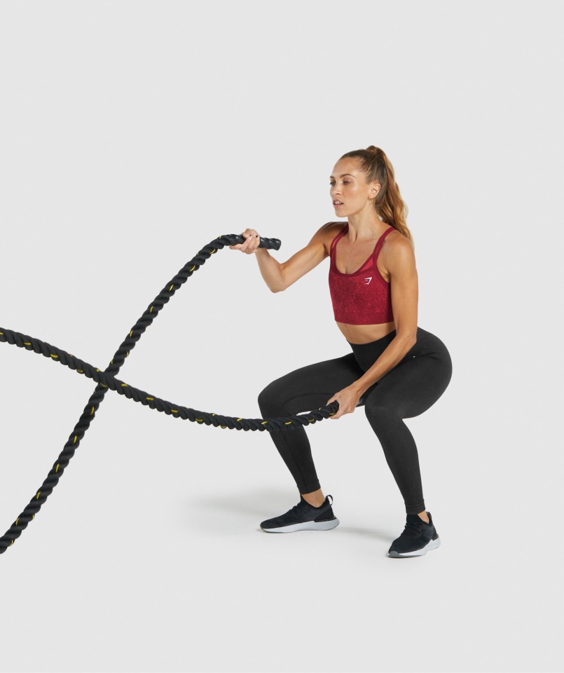 Gymshark Adapt Fleck Bezszwowy Biustonosz Sportowy Mineralno-bordowy