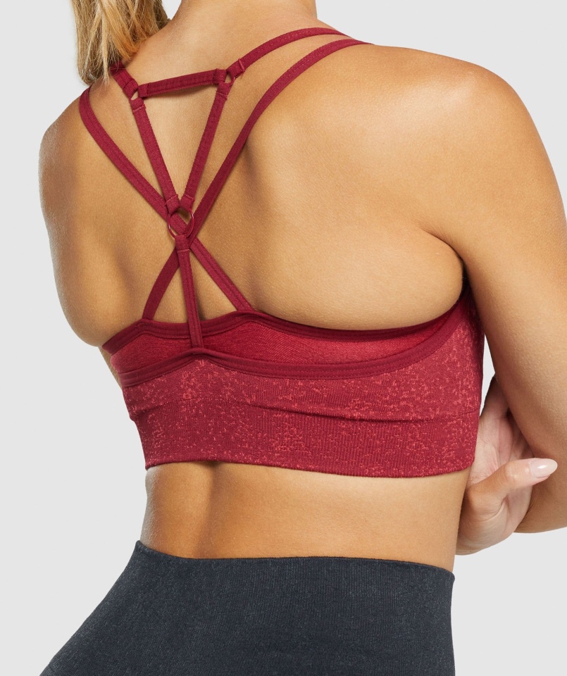 Gymshark Adapt Fleck Bezszwowy Biustonosz Sportowy Mineralno-bordowy