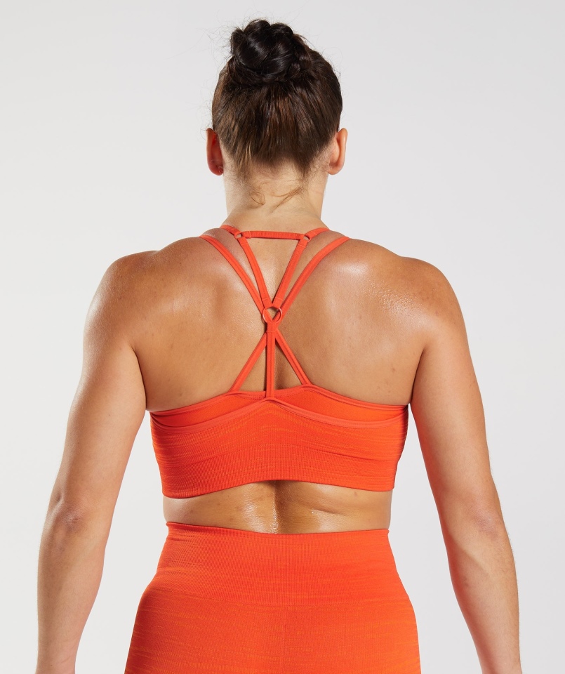 Gymshark Adapt Marl Bezszwowy Biustonosz Sportowy Vlt-pepper Czerwono-orzeźwiający Pomarańczowy