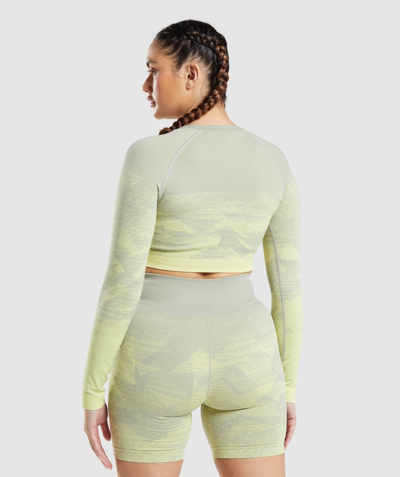 Gymshark Dostosuj Ombre Crop Top Trójkąt-taupe Szary