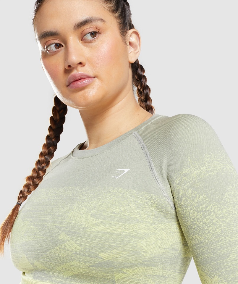 Gymshark Dostosuj Ombre Crop Top Trójkąt-taupe Szary