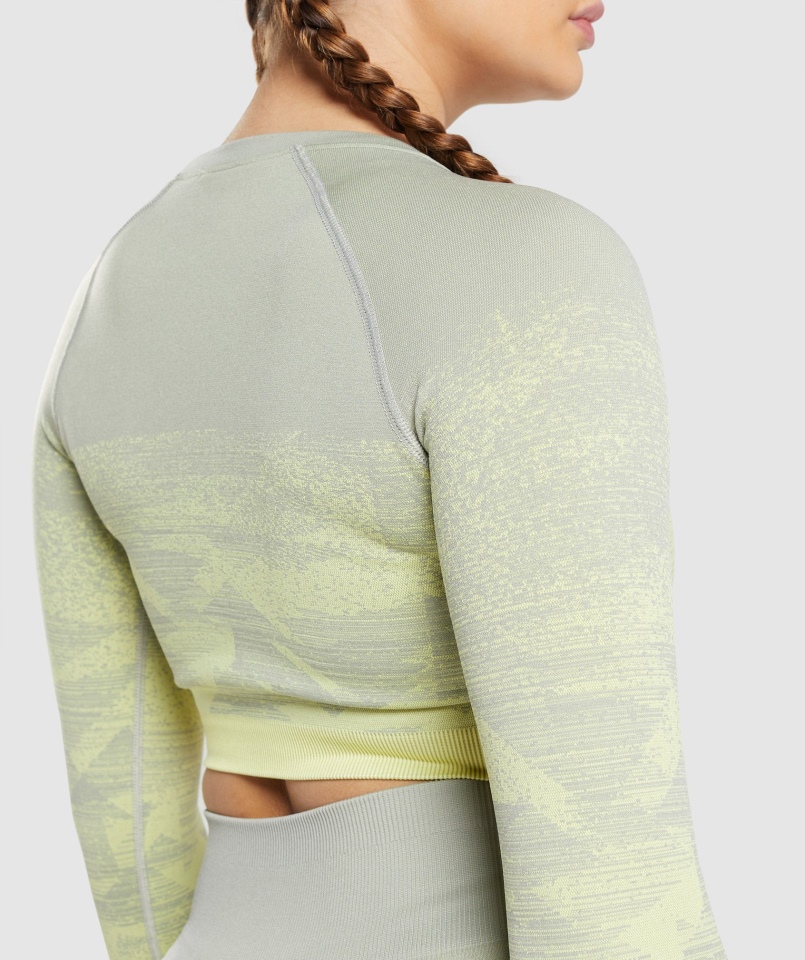 Gymshark Dostosuj Ombre Crop Top Trójkąt-taupe Szary