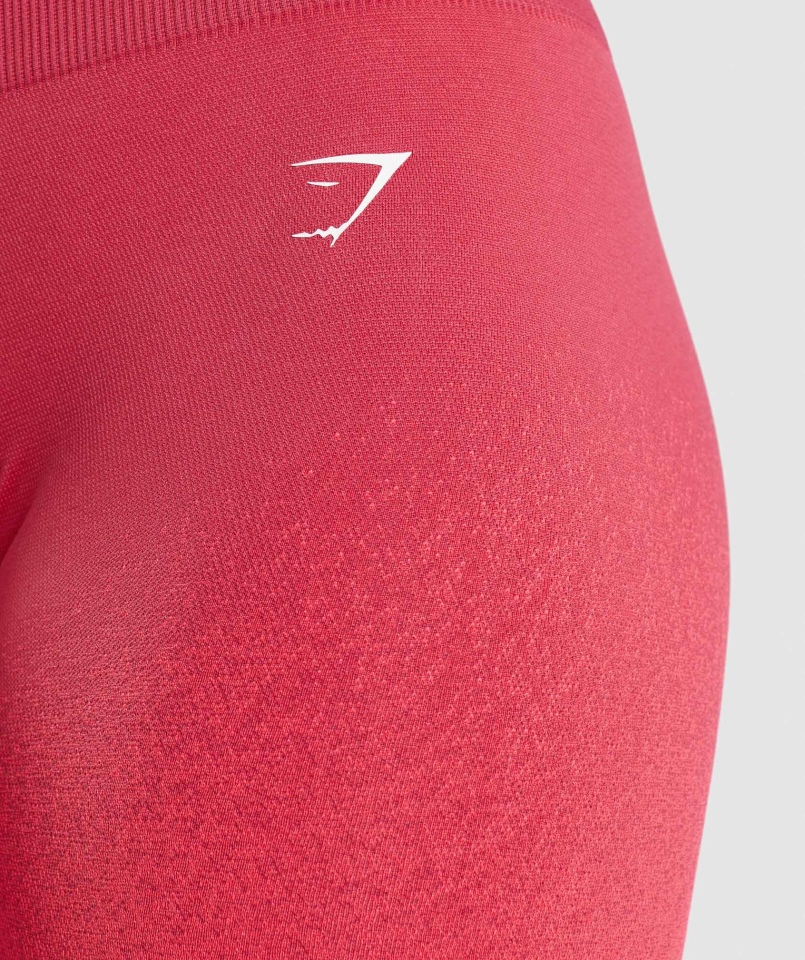 Bezszwowe Spodenki Rowerowe Gymshark Adapt Ombre Różowo-czerwone
