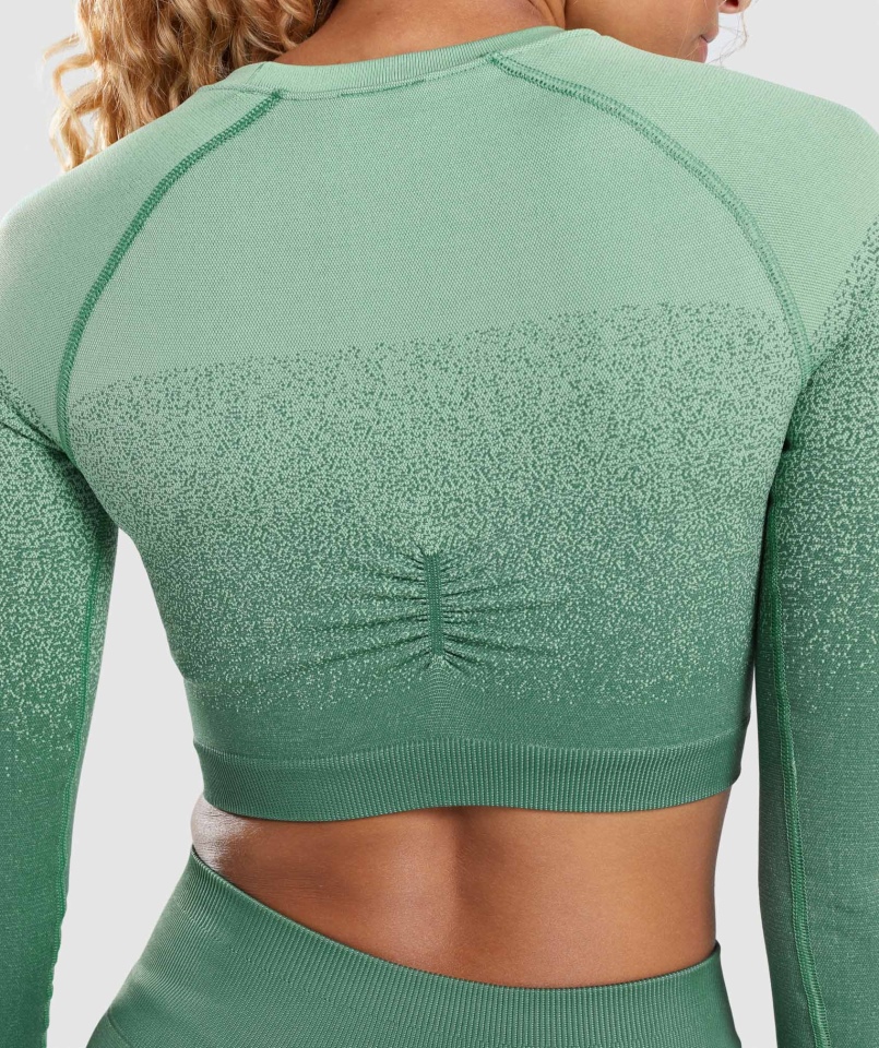 Gymshark Adapt Ombre Bezszwowy Krótki Top Z Długim Rękawem Zielono-jasnozielony
