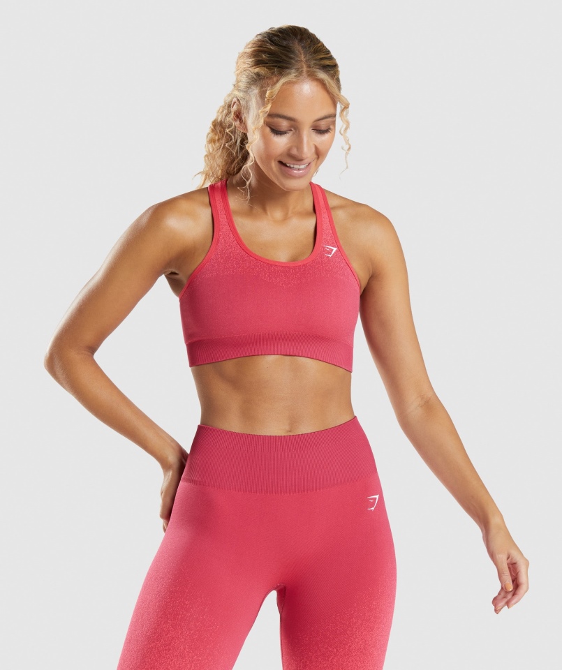Gymshark Adapt Ombre Bezszwowy Biustonosz Sportowy Różowo-czerwony