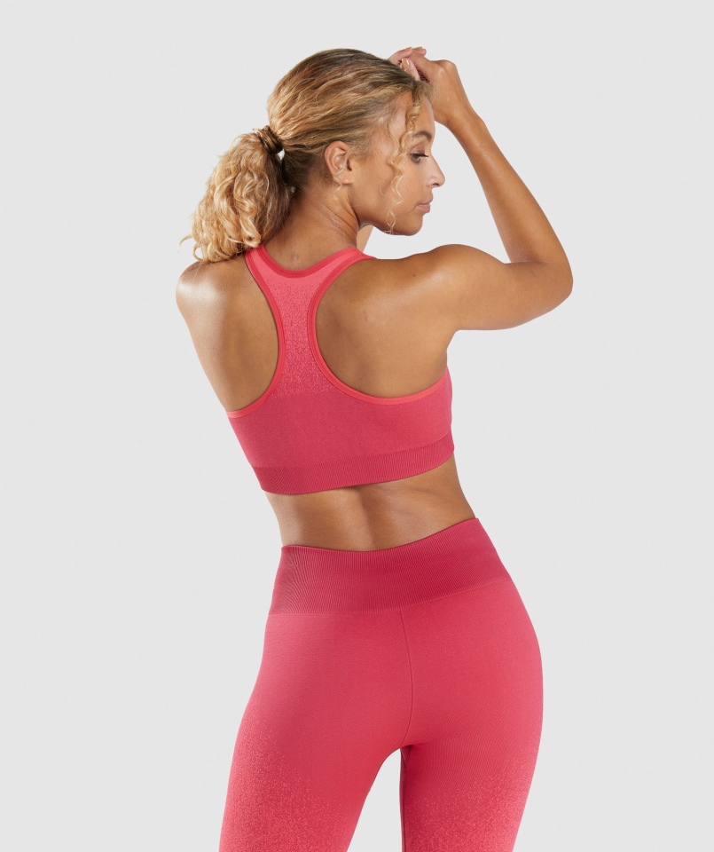 Gymshark Adapt Ombre Bezszwowy Biustonosz Sportowy Różowo-czerwony