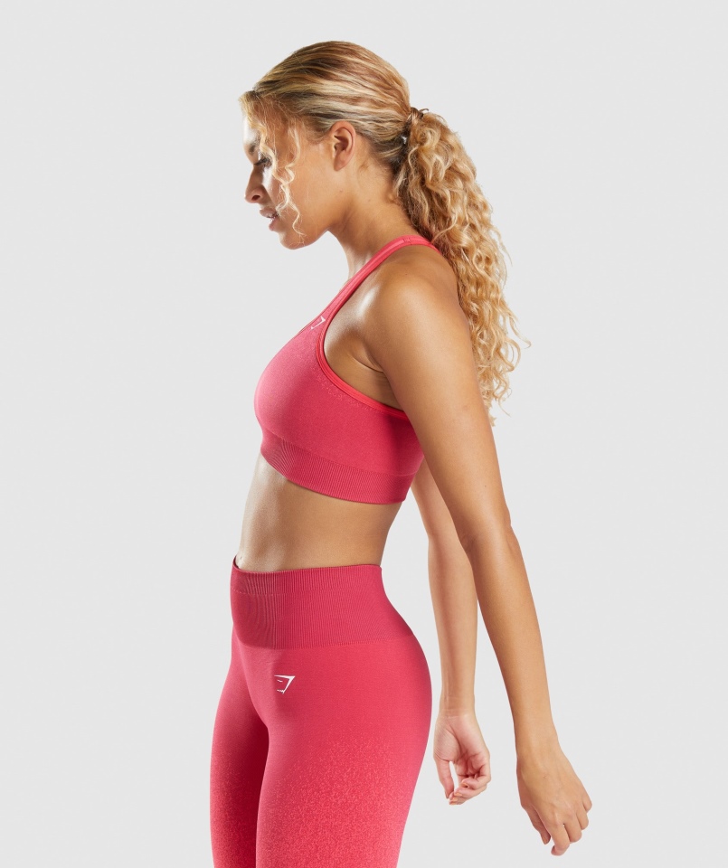 Gymshark Adapt Ombre Bezszwowy Biustonosz Sportowy Różowo-czerwony