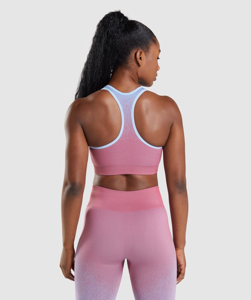 Gymshark Adapt Ombre Bezszwowy Biustonosz Sportowy Różowo-jasnoniebieski