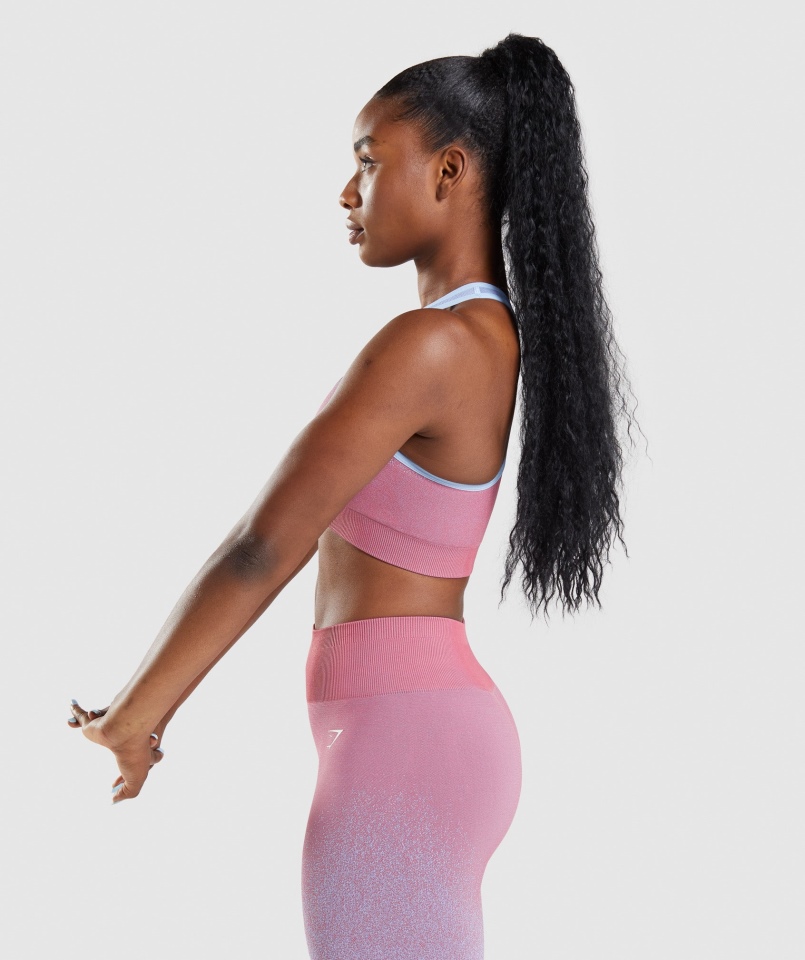 Gymshark Adapt Ombre Bezszwowy Biustonosz Sportowy Różowo-jasnoniebieski
