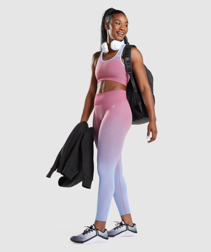 Gymshark Adapt Ombre Bezszwowy Biustonosz Sportowy Różowo-jasnoniebieski