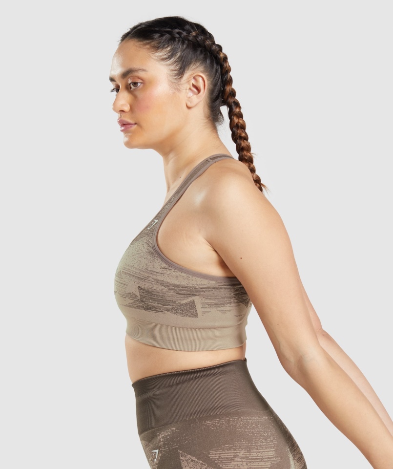 Gymshark Dostosuj Ombre Bezszwowy Biustonosz Sportowy Trójkąt-penny Brązowy