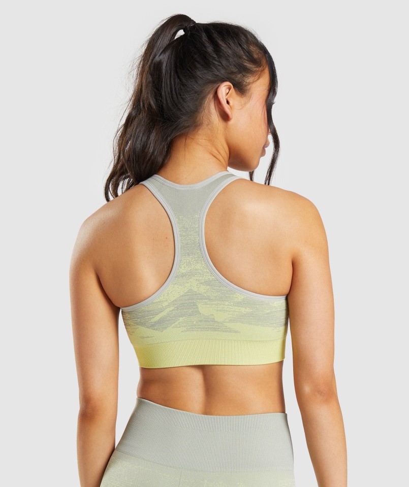 Gymshark Adapt Ombre Bezszwowy Biustonosz Sportowy Trójkąt-taupe Szary