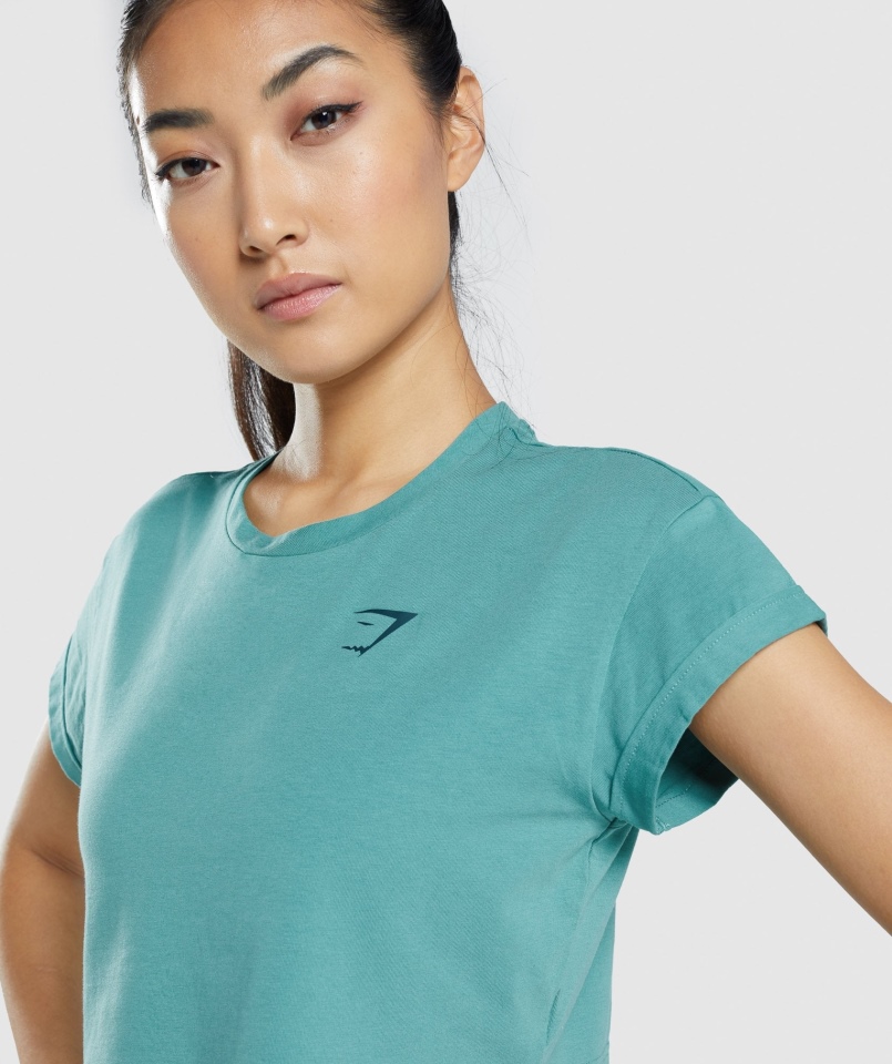 Gymshark Zwierzęcy Graficzny Crop T-shirt Turkusowy