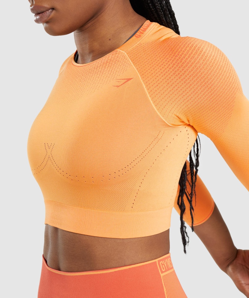 Gymshark Wierzchołek Bezszwowy Crop Top Morelowy Pomarańczowy-papaja Pomarańczowy
