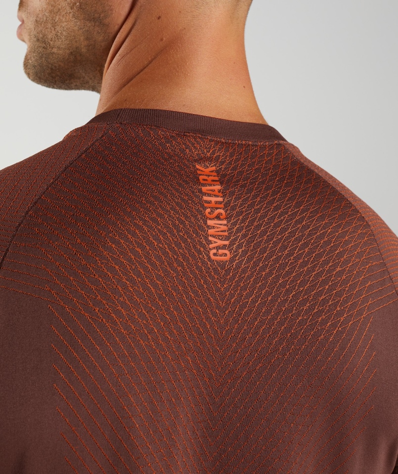 Gymshark Apex Bezszwowa Koszulka Wiśniowa Brązowo-pieprzowa Czerwona
