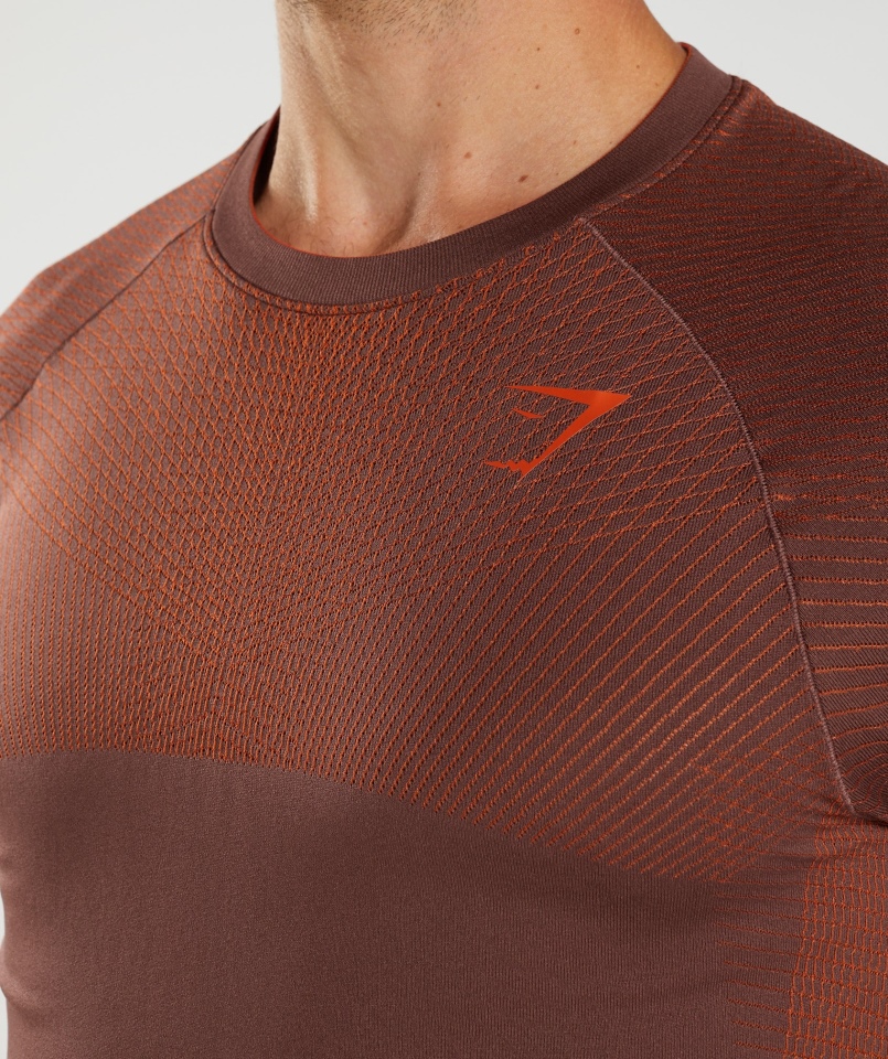 Gymshark Apex Bezszwowa Koszulka Wiśniowa Brązowo-pieprzowa Czerwona