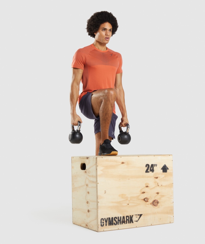 Gymshark Apex Bezszwowa Koszulka Papaja Pomarańczowo-onyksowo-szara