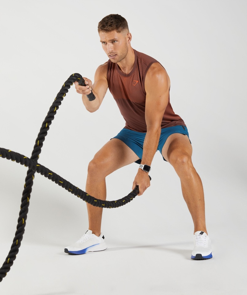 Gymshark Apex Bezszwowy Zbiornik Wiśniowy Brązowo-pieprzowy Czerwony