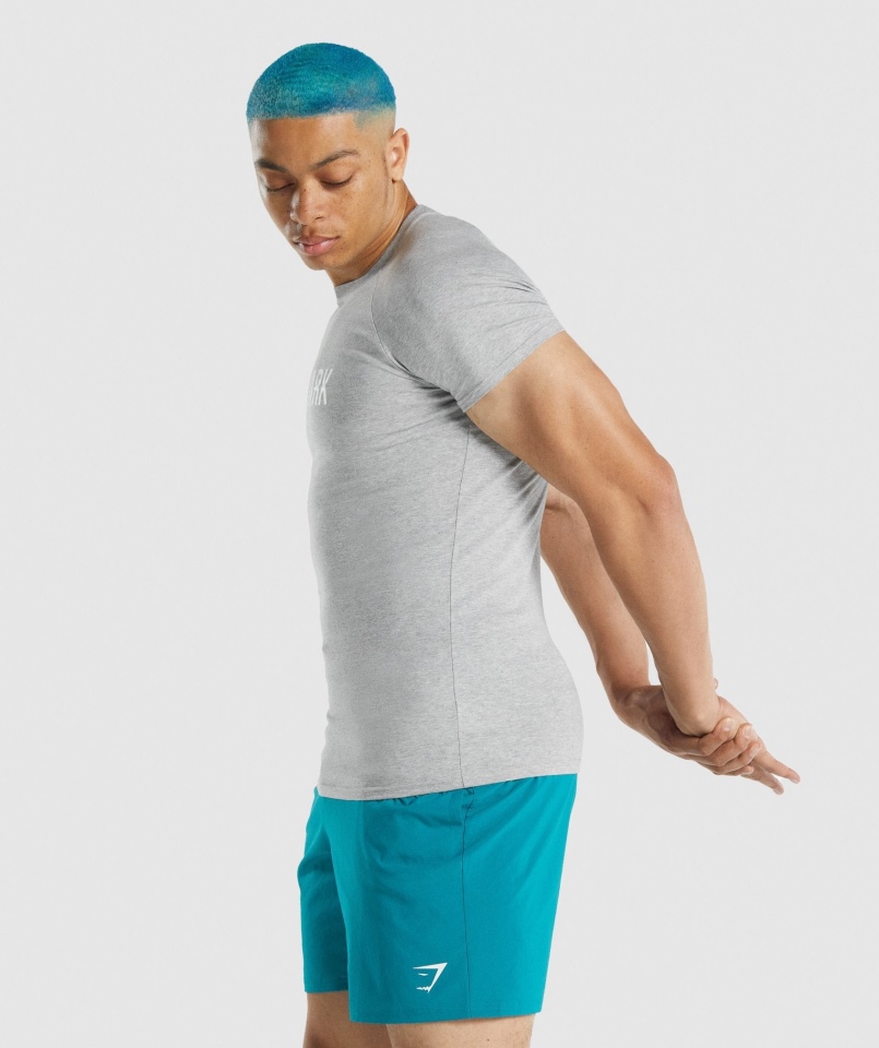 Koszulka Gymshark Apollo Jasnoszara Marl