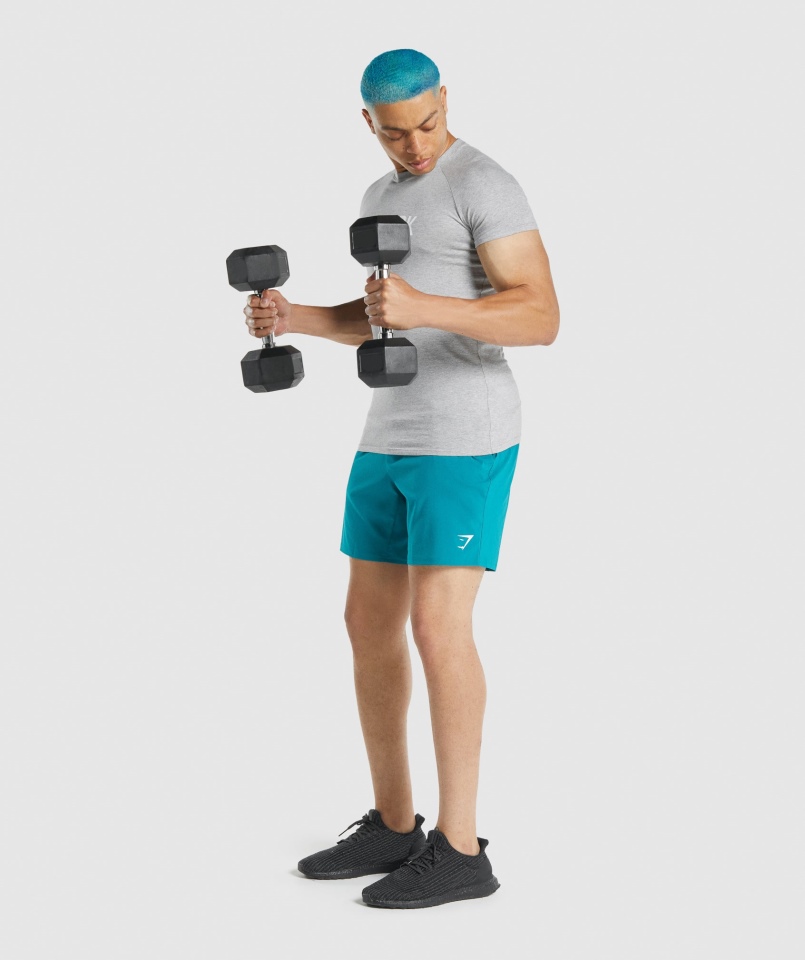 Koszulka Gymshark Apollo Jasnoszara Marl
