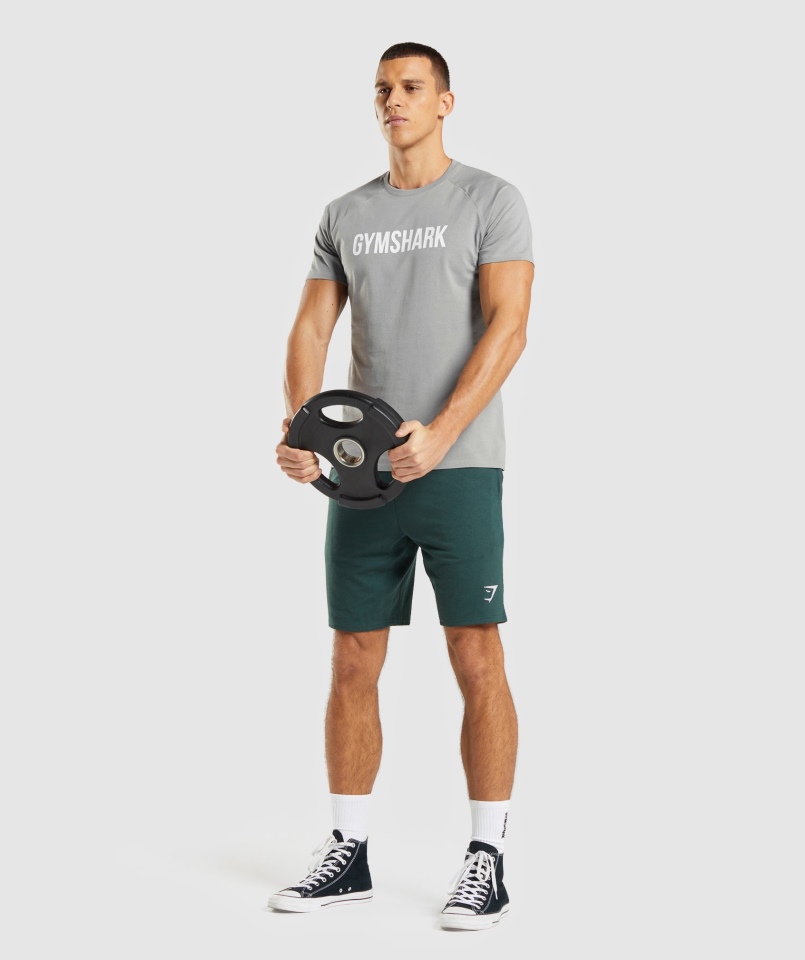 Gymshark Apollo Koszulka Męska Smokey Grey