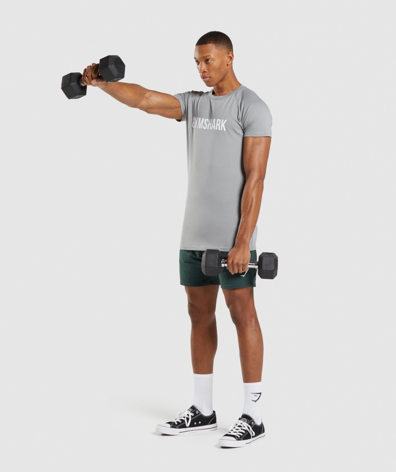 Koszulka Gymshark Apollo Smokey Grey