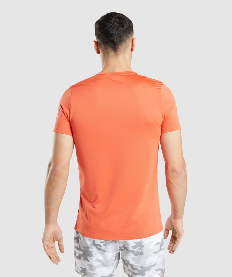 Gymshark Przyjazd Graficzny T-shirt Papaja Pomarańczowy