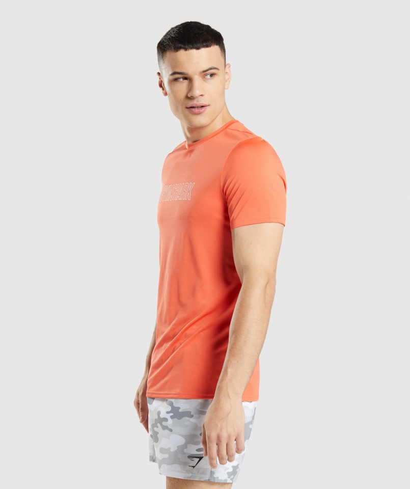 Gymshark Przyjazd Graficzny T-shirt Papaja Pomarańczowy