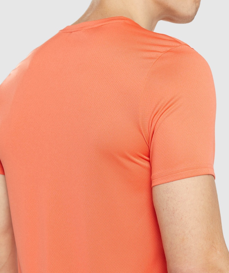 Gymshark Przyjazd Graficzny T-shirt Papaja Pomarańczowy