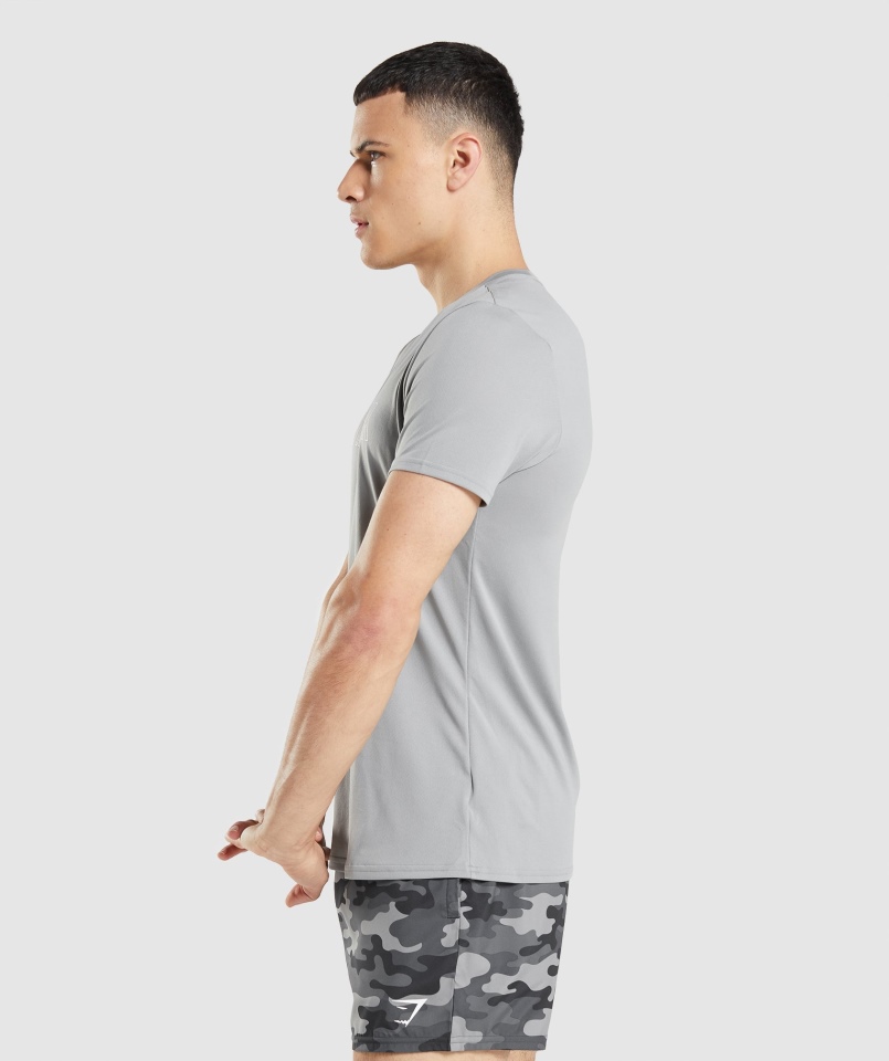 Gymshark Przyjazd Graficzny T-shirt Smokey Grey