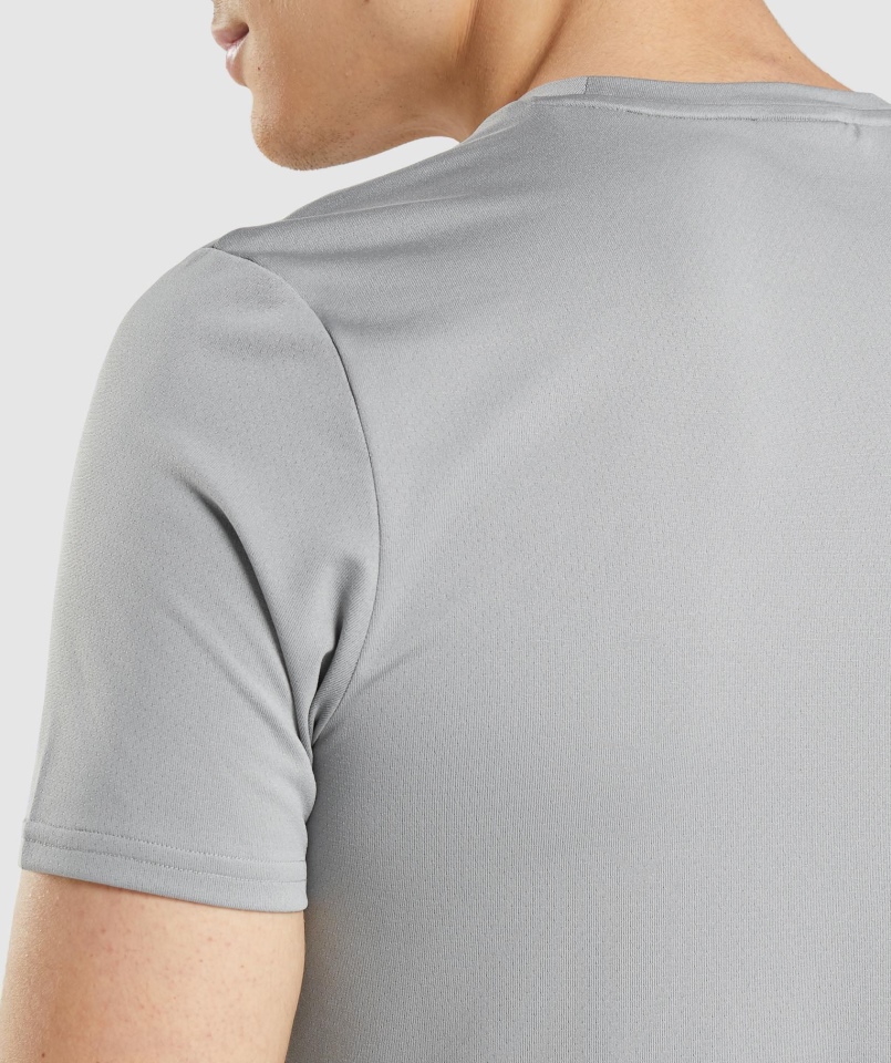 Gymshark Przyjazd Graficzny T-shirt Smokey Grey