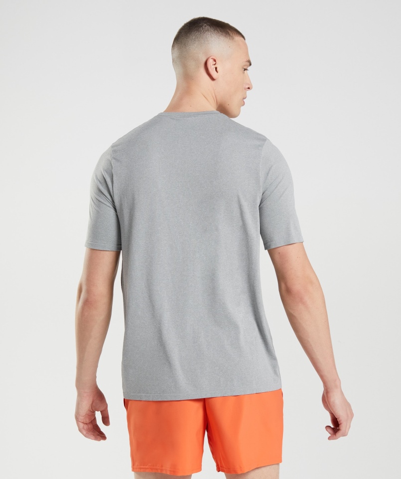 Gymshark Przyjazd Bezszwowa Koszulka Szara