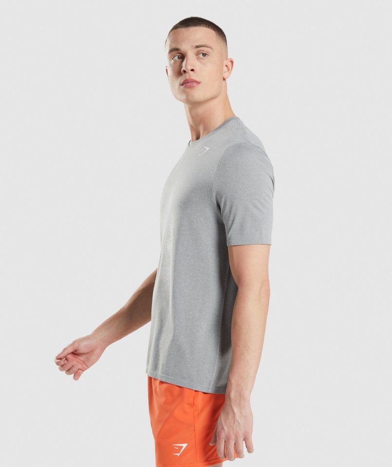 Gymshark Przyjazd Bezszwowa Koszulka Szara