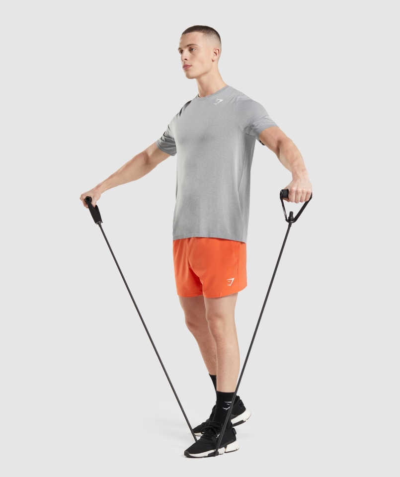 Gymshark Przyjazd Bezszwowa Koszulka Szara