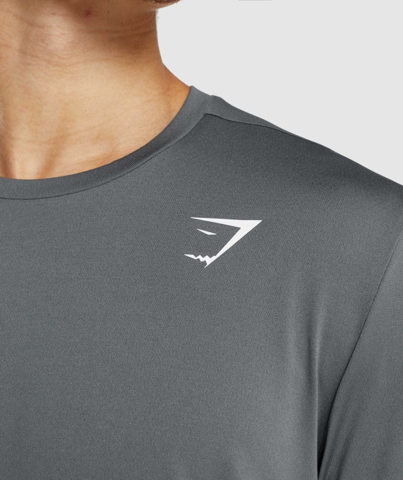 Gymshark Przyjazd T-shirt Grafitowy
