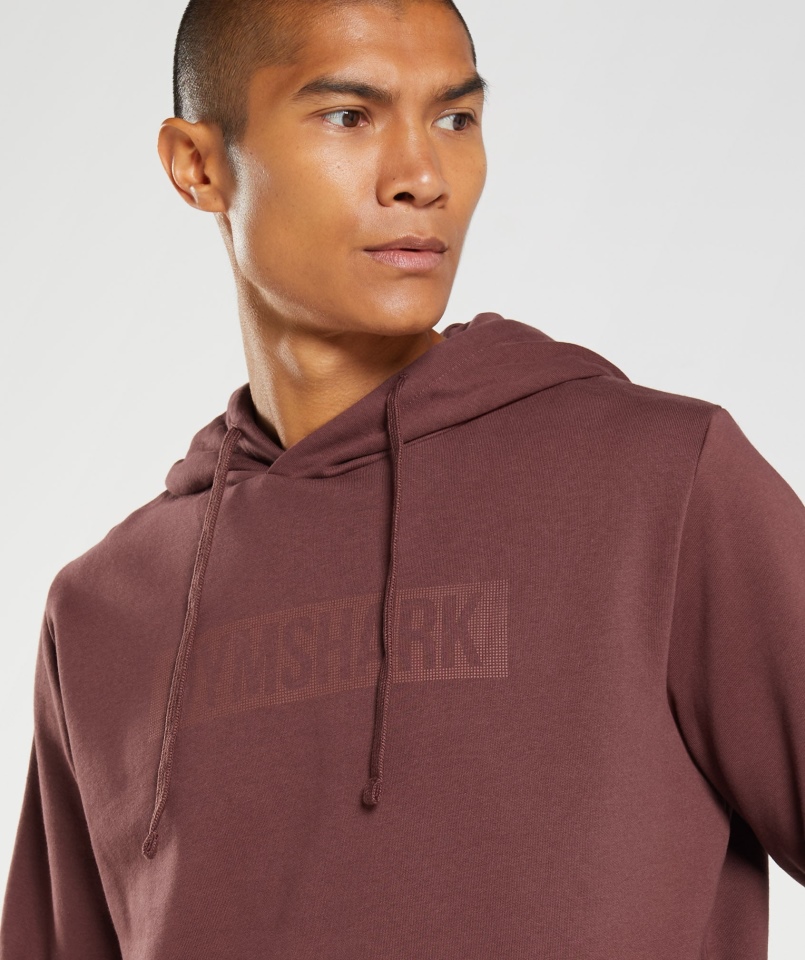 Gymshark Blokowa Bluza Z Kapturem Wiśniowa Brązowa