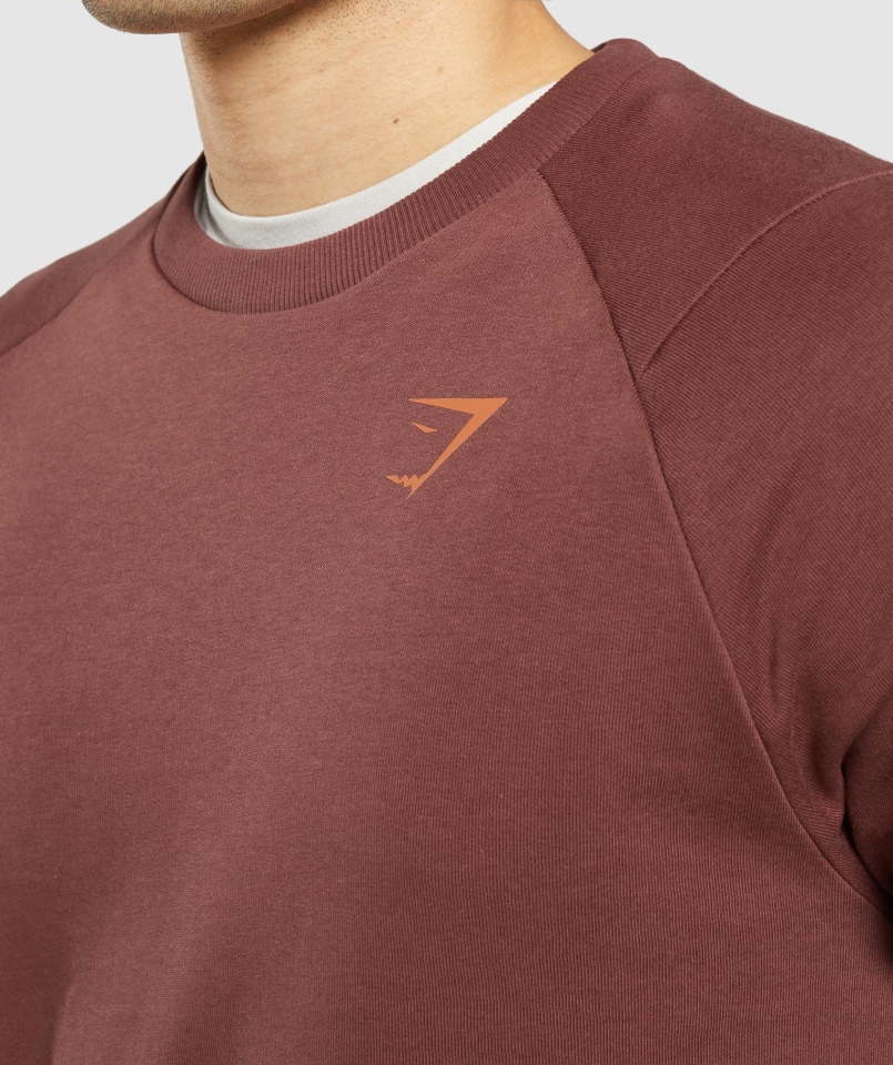 Gymshark Odważna Załoga Wiśniowy Brąz