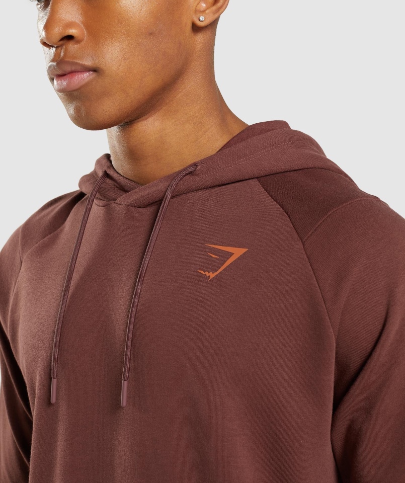Gymshark Odważna Bluza Z Kapturem Wiśniowy Brąz