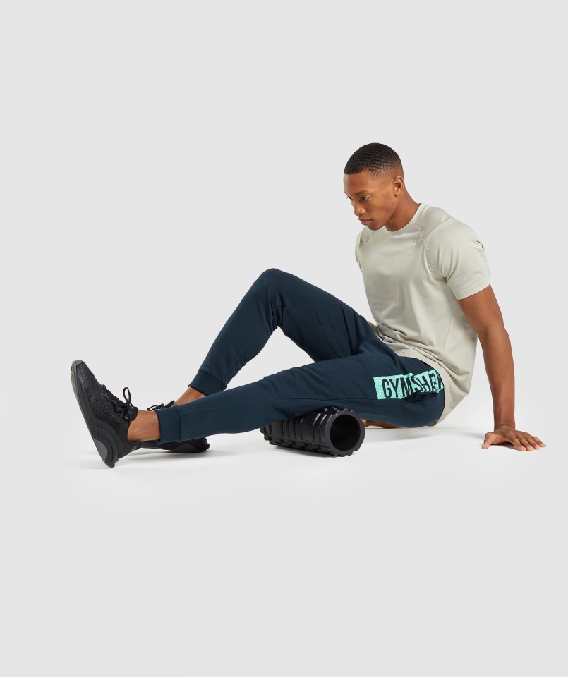 Gymshark Odważne Joggersy Granatowe