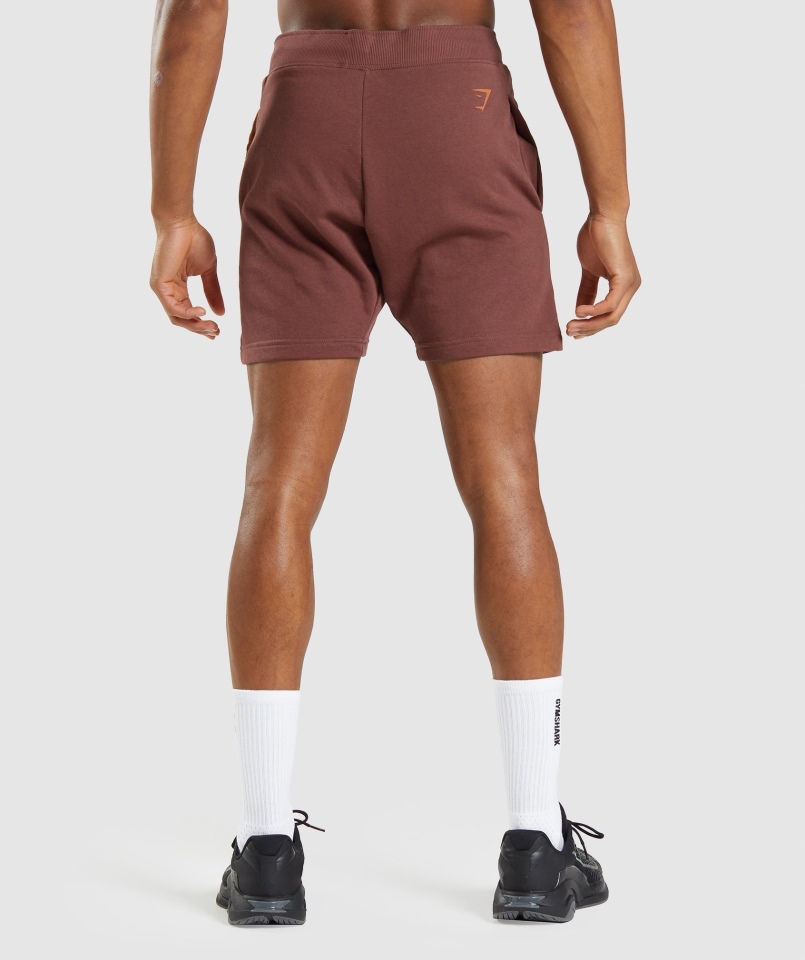 Gymshark Odważne Spodenki Wiśniowe Brązowe