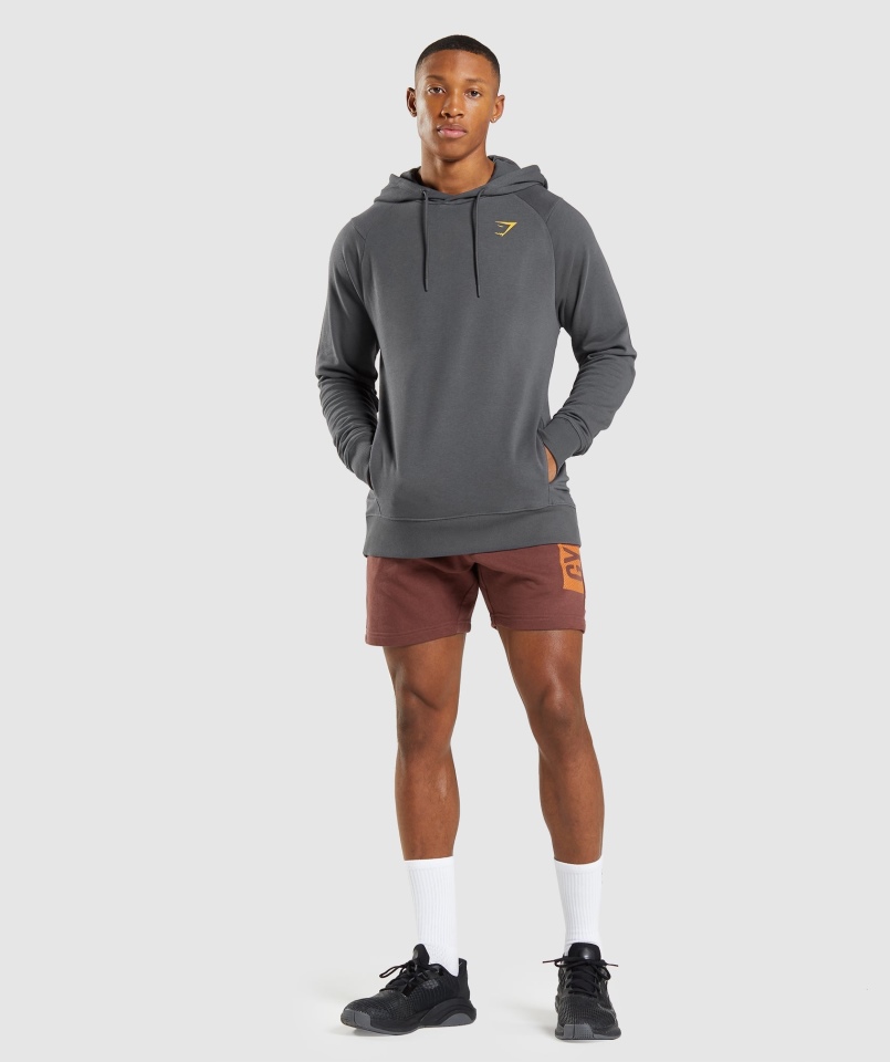 Gymshark Odważne Spodenki Wiśniowe Brązowe