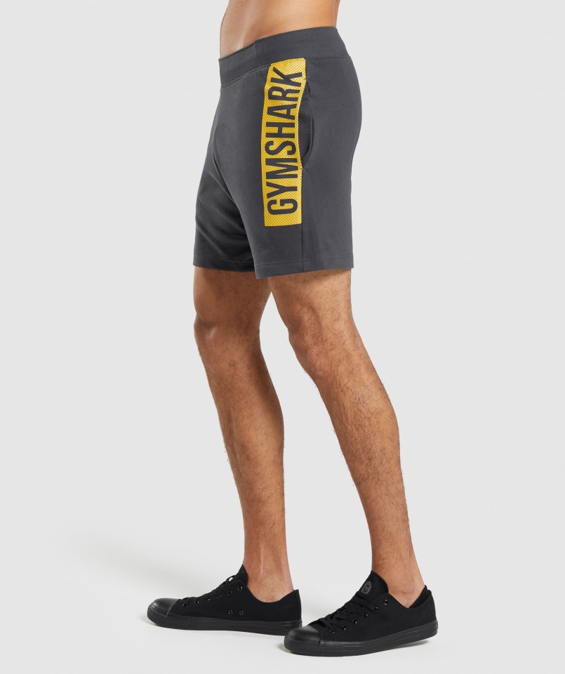 Gymshark Odważne Spodenki Szare Onyks