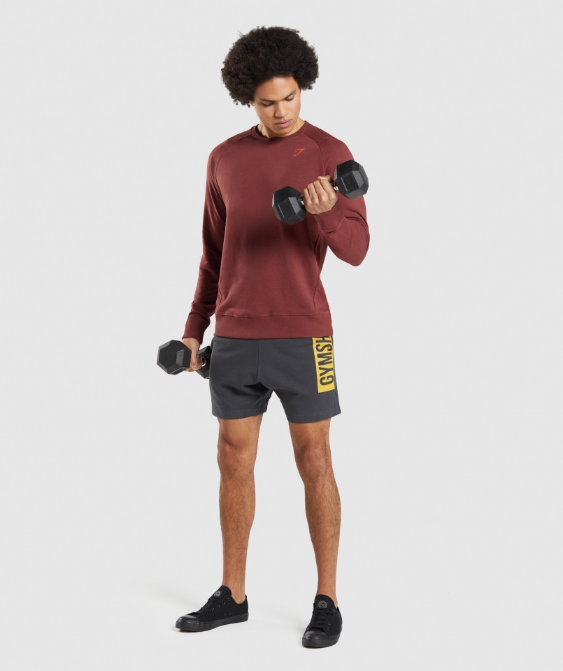 Gymshark Odważne Spodenki Szare Onyks