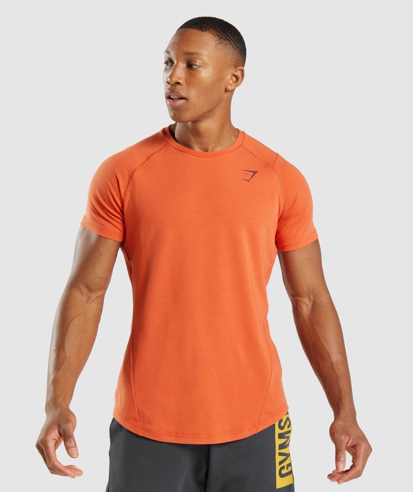 Gymshark Odważny T-shirt Gliniany Pomarańczowy