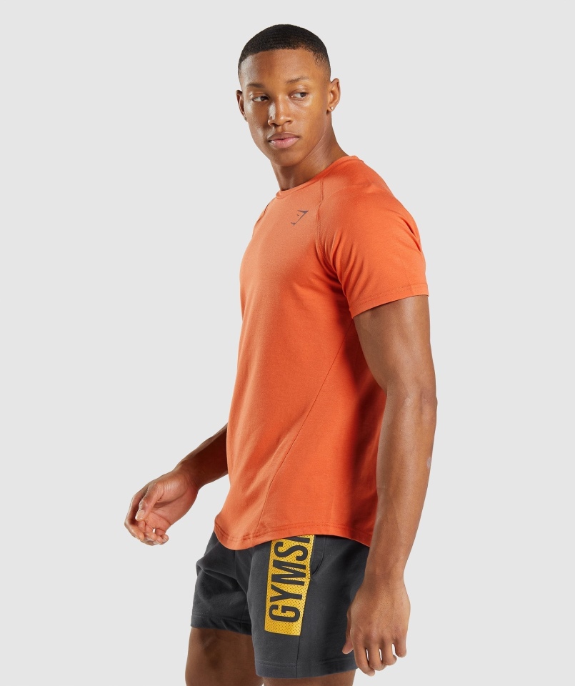 Gymshark Odważny T-shirt Gliniany Pomarańczowy