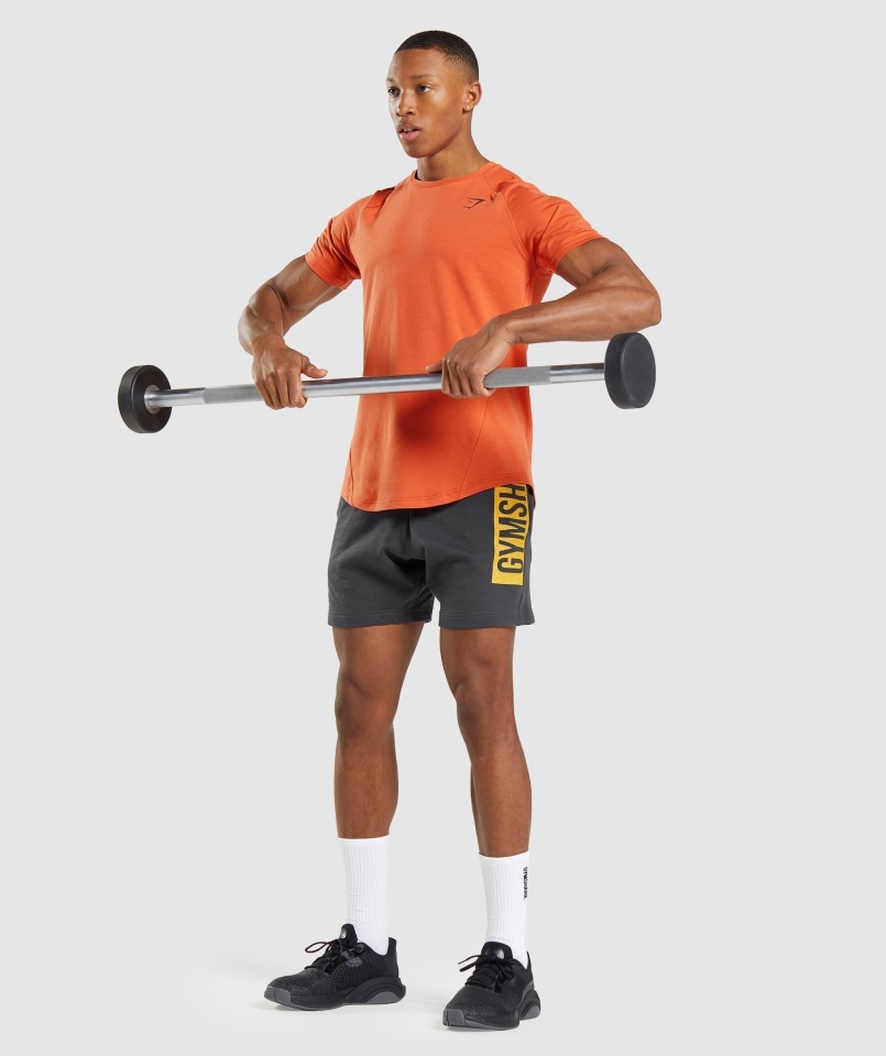 Gymshark Odważny T-shirt Gliniany Pomarańczowy
