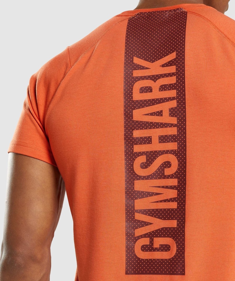 Gymshark Odważny T-shirt Gliniany Pomarańczowy