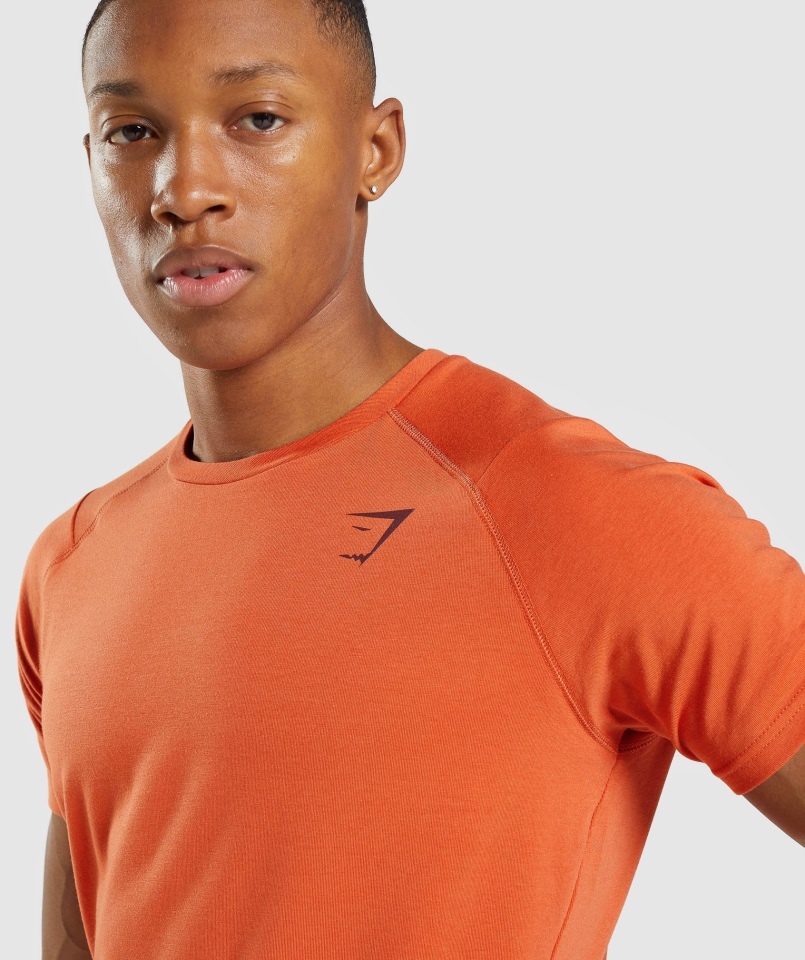 Gymshark Odważny T-shirt Gliniany Pomarańczowy
