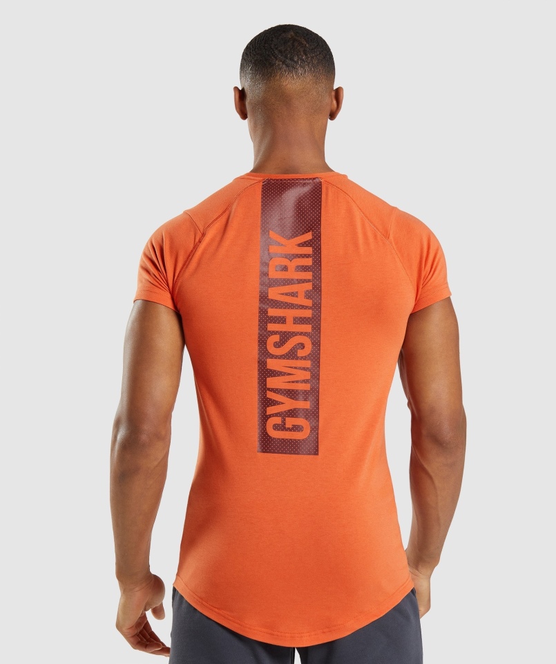 Gymshark Odważny T-shirt Męski Glina Pomarańczowy
